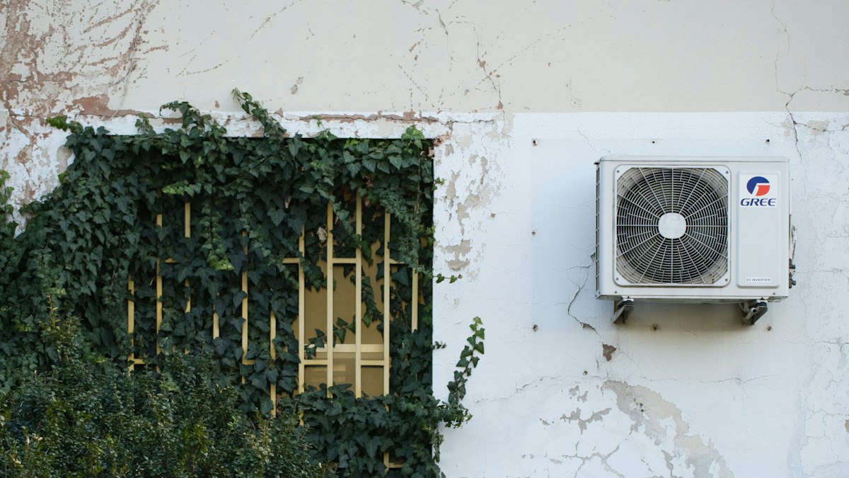 Split AC outdoor unit on a white wall next to climbing plants